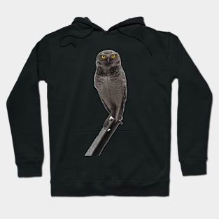 owl Hoodie